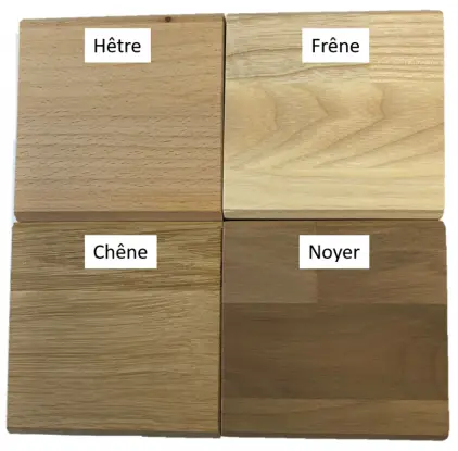 échantillons d'essences de parquet — chêne, frêne, noyer, châtaignier - 2M Parquet Net