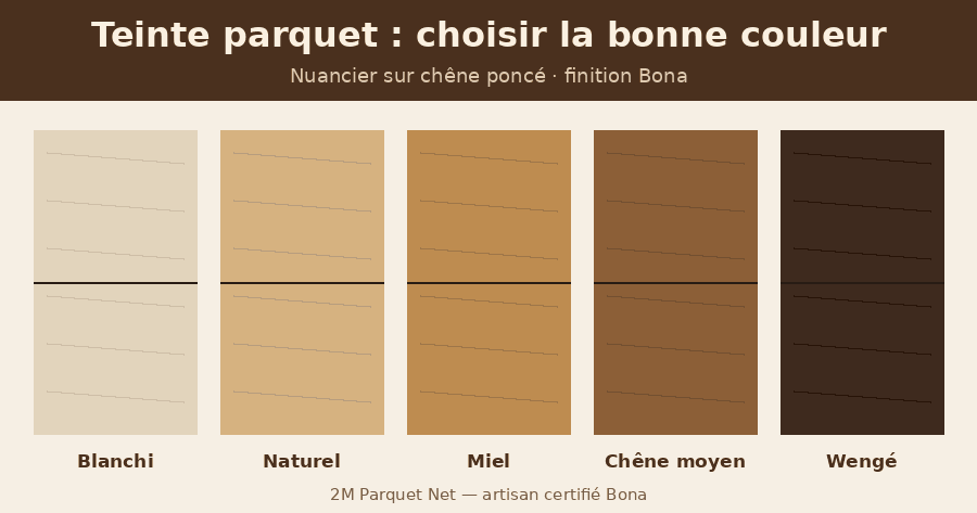 Nuancier de teintes pour parquet en chêne : blanchi, naturel, miel, chêne moyen et wengé